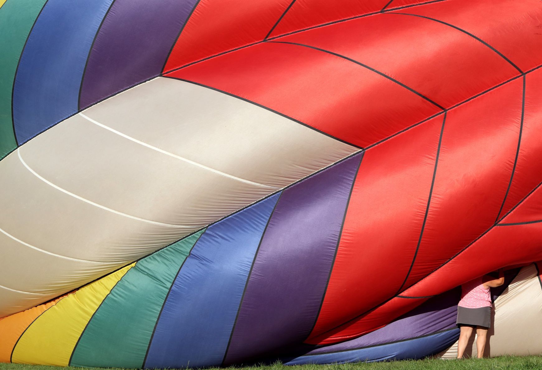 The 46th annual Great Forest Park Balloon Race